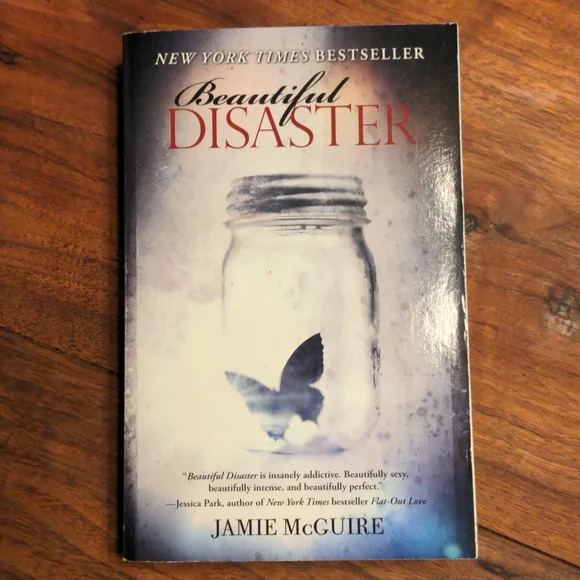 Beautiful Disaster Book - Picture 1 of 8